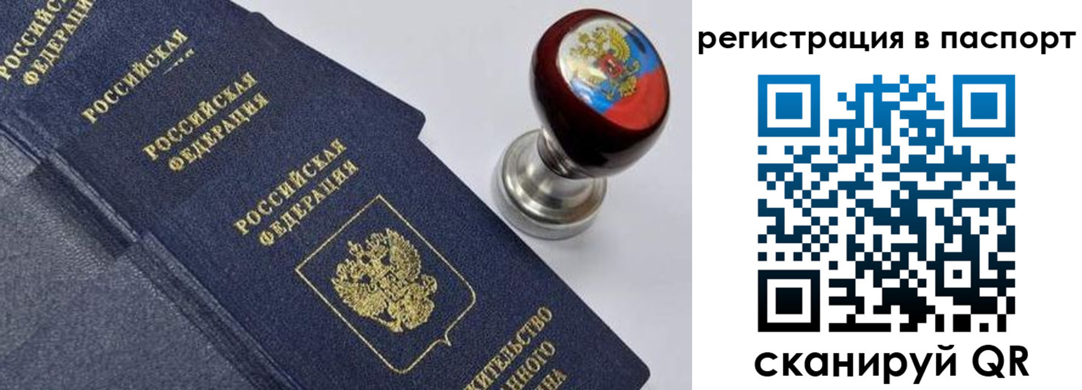 прописка поиск в Свободном